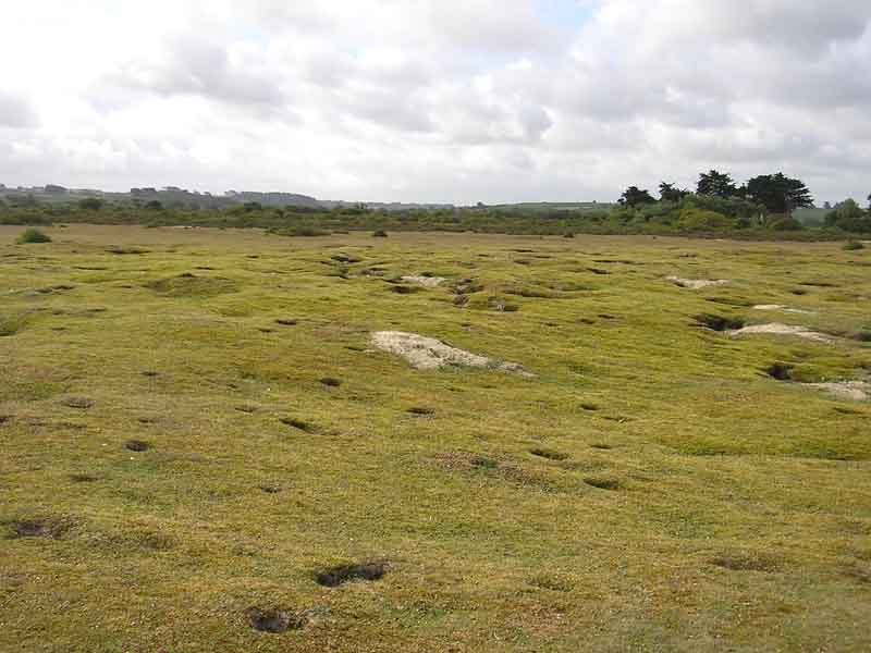 Dünen bei Keremma