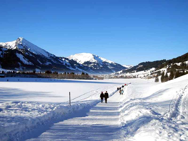 Grän (Dezember 2007 / Januar 2008)