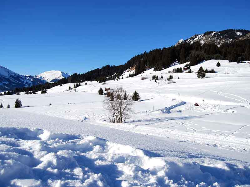 Grän (Dezember 2007 / Januar 2008)