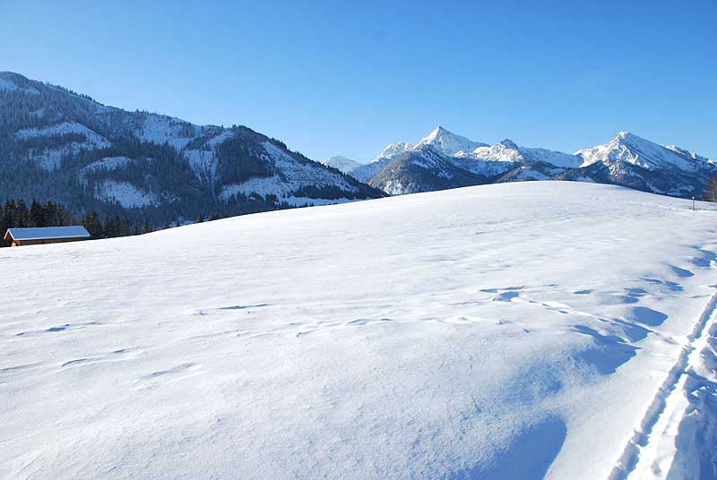 eingeschneite Landschaft um Grän