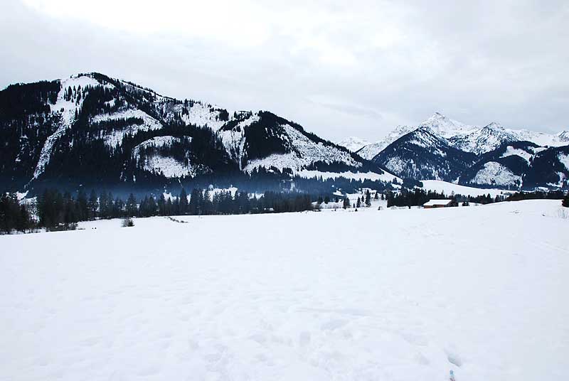 verschneite Winterlandschaft