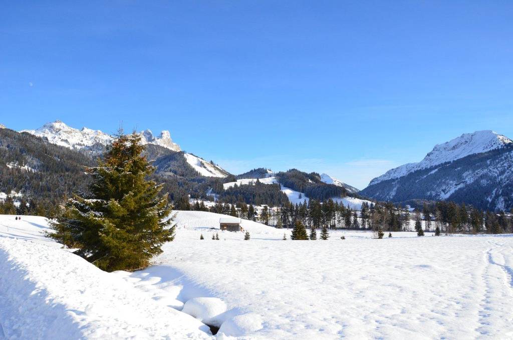 Mittlerer Höhenweg nach Tannheim
