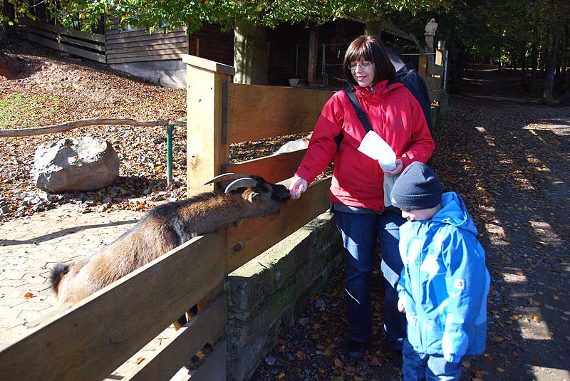Im Bergwildpark Meißner