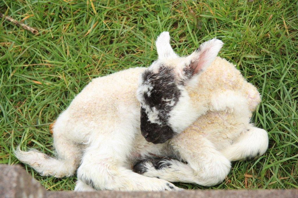 Nachwuchs braucht Ruhe