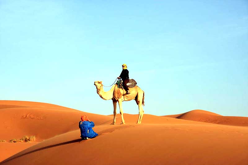 Vom Wohnmobil zum Wüstenschiff