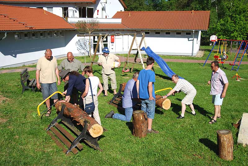 Beim Baumstammsägen