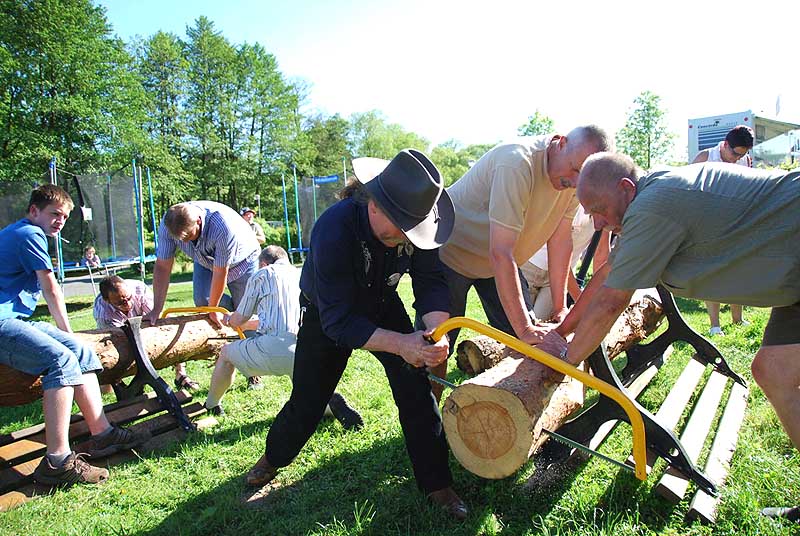 Beim Baumstammsägen