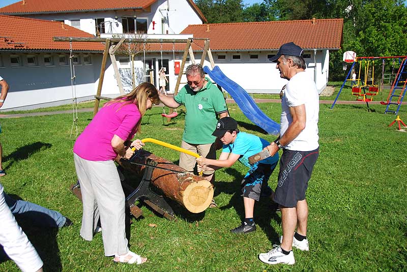 Beim Baumstammsägen
