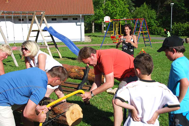 Beim Baumstammsägen