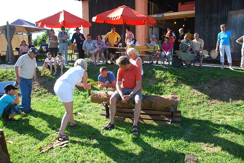 Beim Baumstammsägen