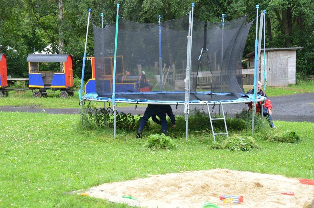Beim Gras scheren