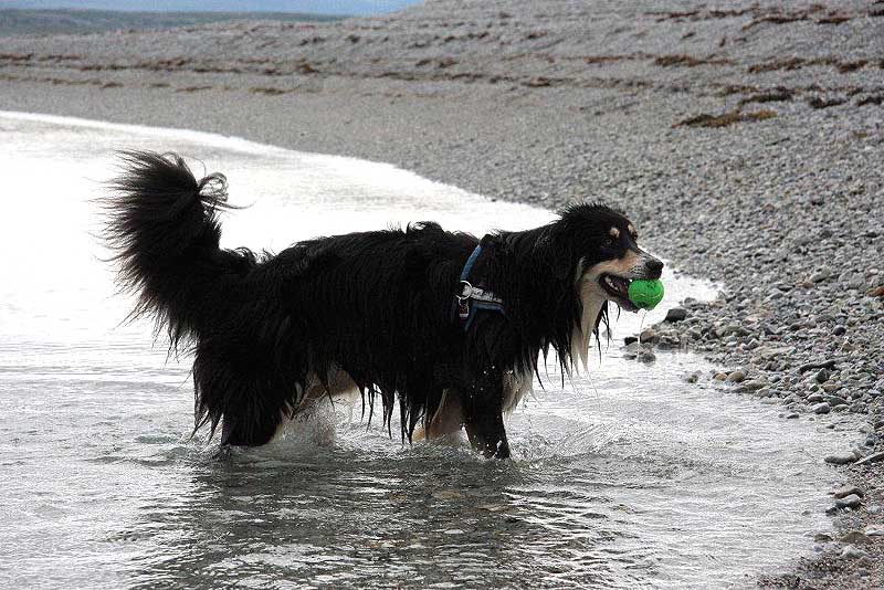 Nara beim Eismeer baden