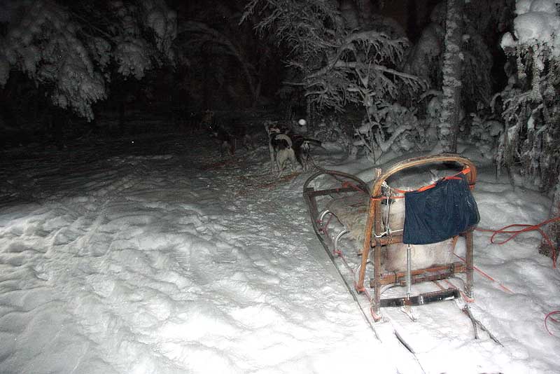 Husky Schlittentouri eisigen Temperaturen