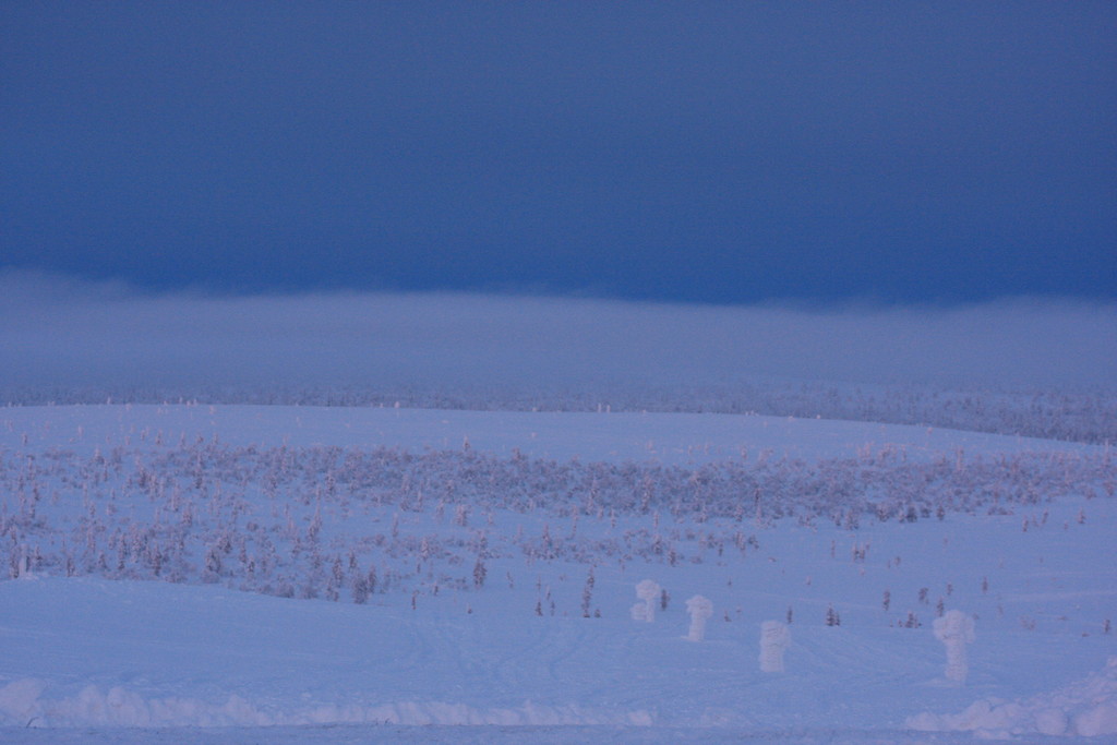 Skandinavien 2014 / 2015