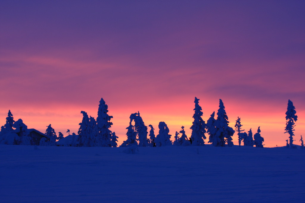 Skandinavien 2014 / 2015